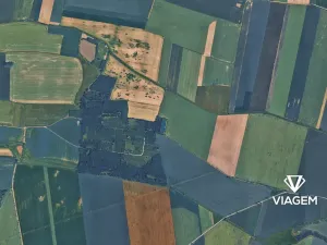 Prodej podílu lesa, Sviny, 1377 m2