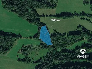 Prodej podílu lesa, Heřmanov, 2538 m2