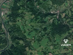 Prodej podílu lesa, Heřmanov, 7032 m2