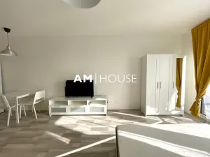 Pronájem bytu 1+kk, Praha - Strašnice, Zvěřinova, 38 m2