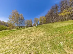 Prodej zahrady, Jeseník, 2608 m2