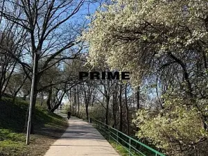 Pronájem bytu 3+kk, Praha - Žižkov, Prokopova, 71 m2