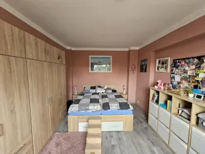 Prodej bytu 2+1, Třebíč - Borovina, Řípovská, 54 m2