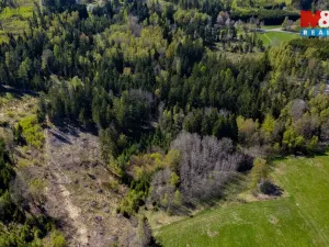 Prodej lesa, Železný Brod, 11203 m2