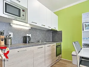 Prodej bytu 1+kk, Brno, Turgeněvova, 40 m2