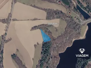 Prodej lesa, Chlum-Korouhvice, 3059 m2