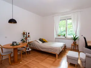 Pronájem bytu 1+kk, Praha - Vinohrady, Šrobárova, 28 m2