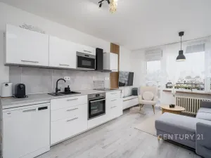 Prodej bytu 3+1, Děčín, Oblouková, 74 m2