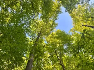Prodej chaty, Mladeč, 35 m2