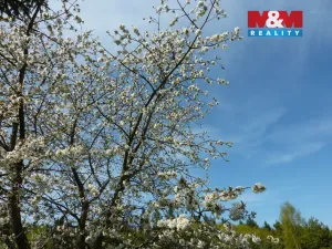 Prodej zahrady, Hronov, 5538 m2