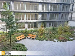Pronájem bytu 1+kk, Ostrava, Pivovarská, 36 m2