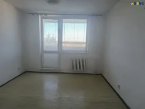 Pronájem bytu 2+1, Polná, Palackého, 52 m2