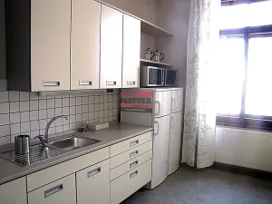 Prodej vícegeneračního domu, Veselí nad Lužnicí, náměstí T. G. Masaryka, 262 m2