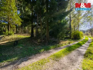 Prodej pozemku pro bydlení, Blažejov - Mutyněves, 258 m2