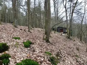 Prodej lesa, Petrov, 23078 m2