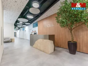 Pronájem obchodního prostoru, Praha - Michle, Jihlavská, 30 m2