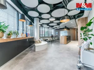 Pronájem obchodního prostoru, Praha - Michle, Jihlavská, 30 m2