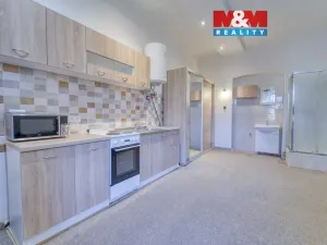 Pronájem bytu 1+kk, Plzeň - Východní Předměstí, Koterovská, 23 m2
