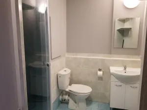 Pronájem bytu 1+1, Ostrava - Moravská Ostrava, Lechowiczova, 35 m2