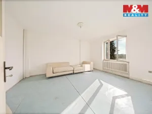 Prodej rodinného domu, Staré Město pod Landštejnem, 198 m2