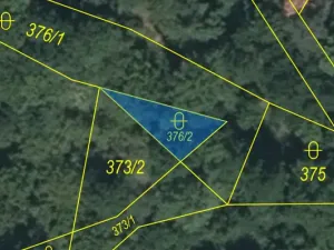 Prodej lesa, Kolinec - Buršice, 5195 m2