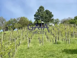 Prodej zahrady, Bzenec, 4488 m2