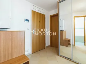 Pronájem bytu 2+kk, Praha - Vinohrady, Italská, 56 m2