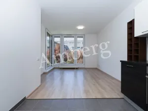 Prodej bytu 2+kk, Praha - Žižkov, Na Vackově, 53 m2