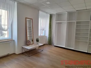 Pronájem bytu 1+1, Plzeň, Solní, 50 m2