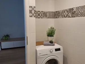 Pronájem bytu 1+1, Plzeň, Solní, 50 m2