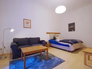 Pronájem bytu 1+1, Praha - Vinohrady, Polská, 45 m2