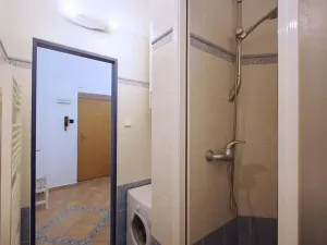 Pronájem bytu 1+1, Praha - Vinohrady, Polská, 45 m2