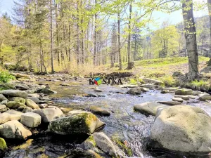 Prodej rodinného domu, Krásná, 200 m2