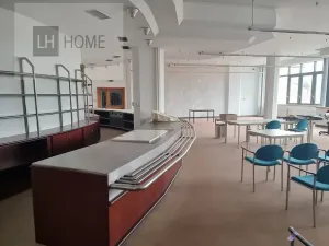 Pronájem obchodního prostoru, Plzeň, 100 m2