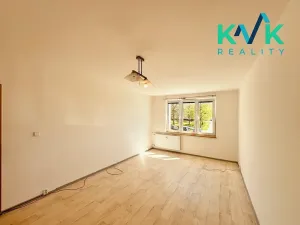 Prodej bytu 2+1, Ostrov, Družební, 66 m2
