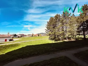 Prodej bytu 2+1, Ostrov, Družební, 66 m2