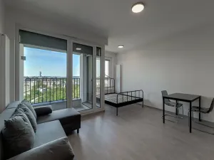 Pronájem bytu 1+kk, Praha - Žižkov, Olgy Havlové, 35 m2