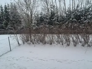Prodej bytu 1+1, Turnov, Přepeřská, 35 m2