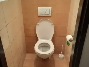 Pronájem pokoje, Mladá Boleslav, Jilemnického, 10 m2