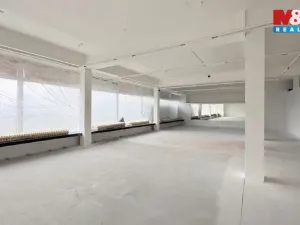 Pronájem obchodního prostoru, Krnov - Pod Cvilínem, Opavská, 250 m2