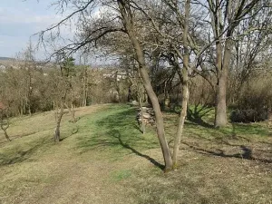 Prodej pozemku pro bydlení, Kopidlno, Na Vinici, 8371 m2