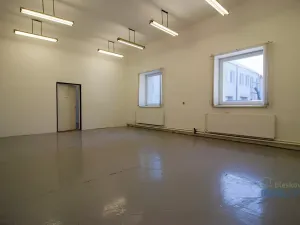 Pronájem kanceláře, Brandýs nad Labem-Stará Boleslav, Pražská, 73 m2