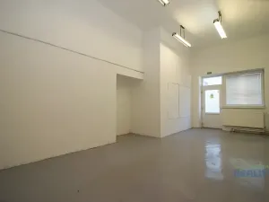 Pronájem kanceláře, Brandýs nad Labem-Stará Boleslav, Pražská, 73 m2
