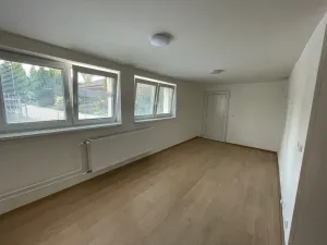 Pronájem bytu 1+kk, Troskotovice, 47 m2