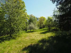 Prodej chaty, Pozořice, Oulehla, 27 m2
