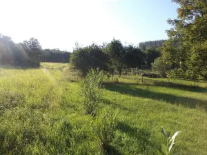 Prodej zahrady, Město Albrechtice - Burkvíz, 694 m2