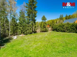 Prodej chalupy, Sněžné - Podlesí, 150 m2