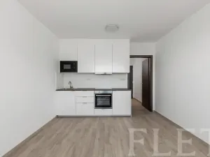 Pronájem bytu 1+kk, Praha - Dolní Měcholupy, Honzíkova, 30 m2