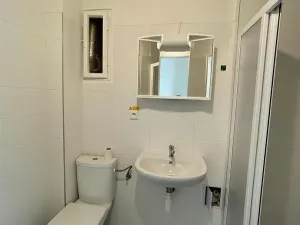 Pronájem bytu 1+kk, Praha - Nusle, V Horkách, 35 m2
