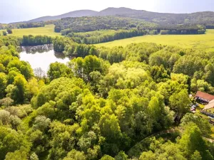 Prodej pozemku, Benešov nad Černou - Hartunkov, 5446 m2